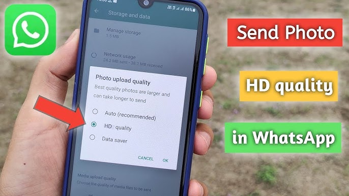 Tips on Sending HD Photos on WhatsApp