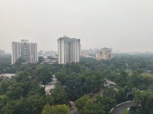 IMG20230113060038-scaled