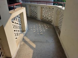 IMG_20231022_084703_HDR