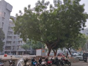 IMG_20231022_084738_HDR