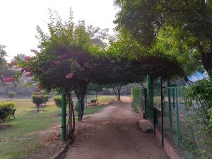 IMG_20231022_084957_HDR