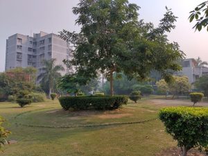 IMG_20231022_085017_HDR