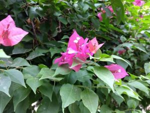 IMG_20231022_085233_HDR