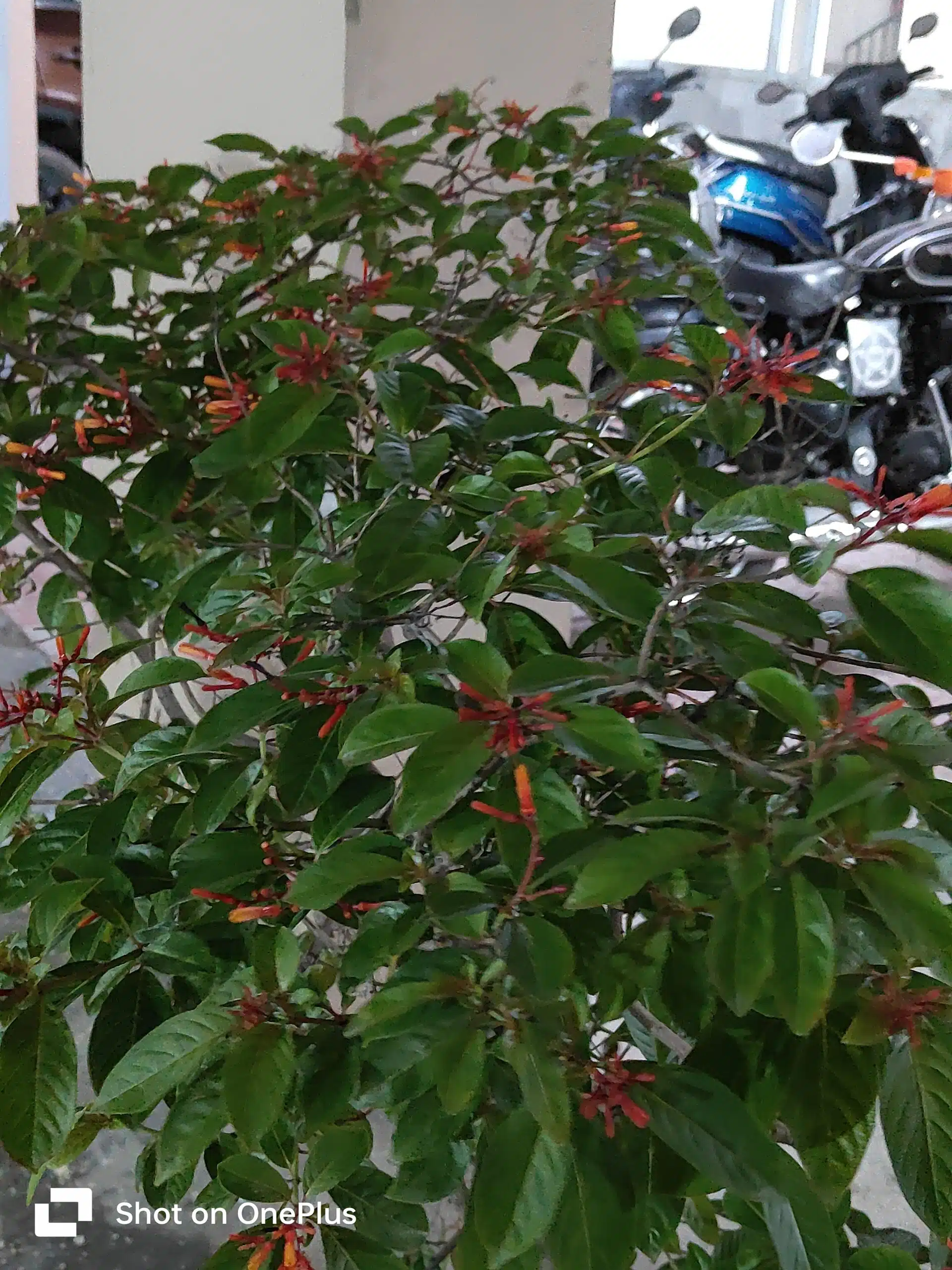 IMG20230729194144-scaled