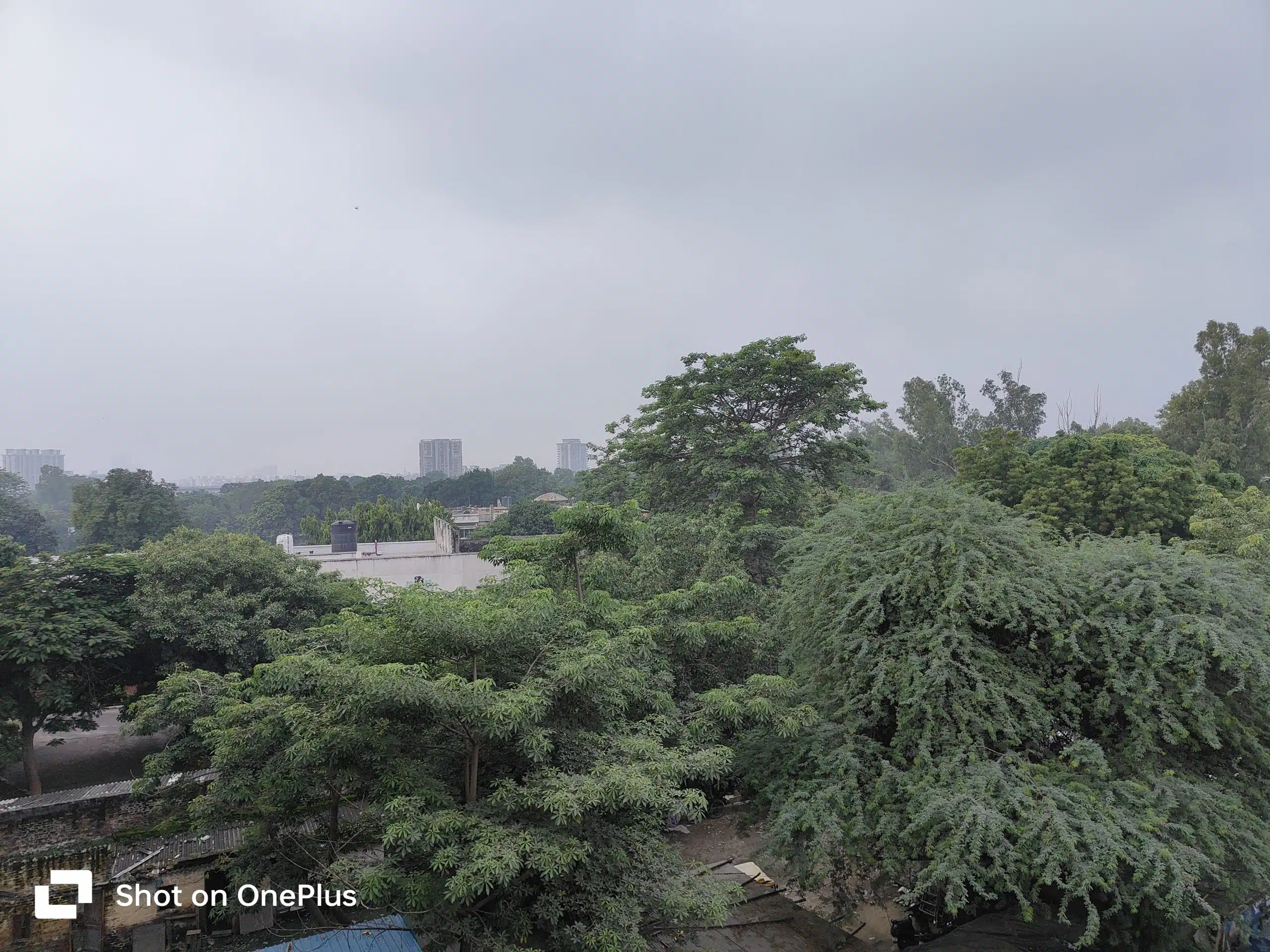 IMG20230731093441-scaled