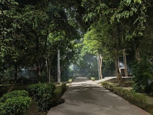 IMG_20231124_214951_221