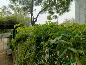 IMG_20231125_103954_166