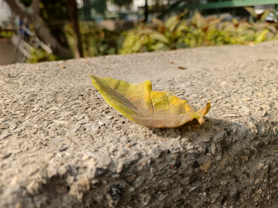 IMG_20231125_104329_035