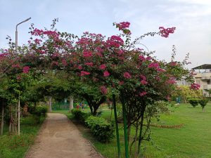 IMG20230707181838 (1)