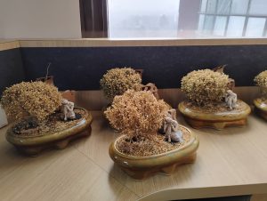 IMG_20240101_080151721_HDR