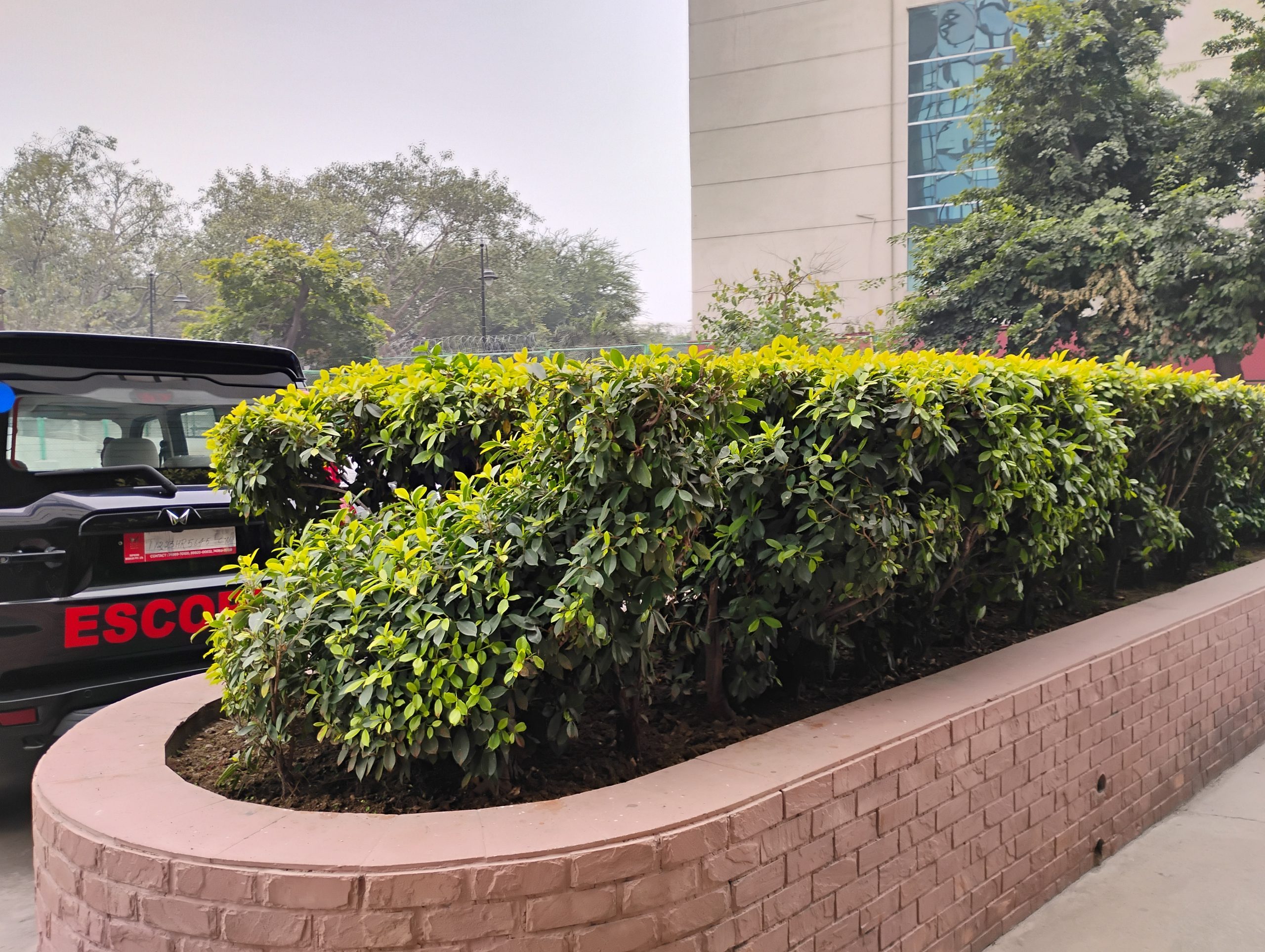 IMG_20240109_133419236_HDR