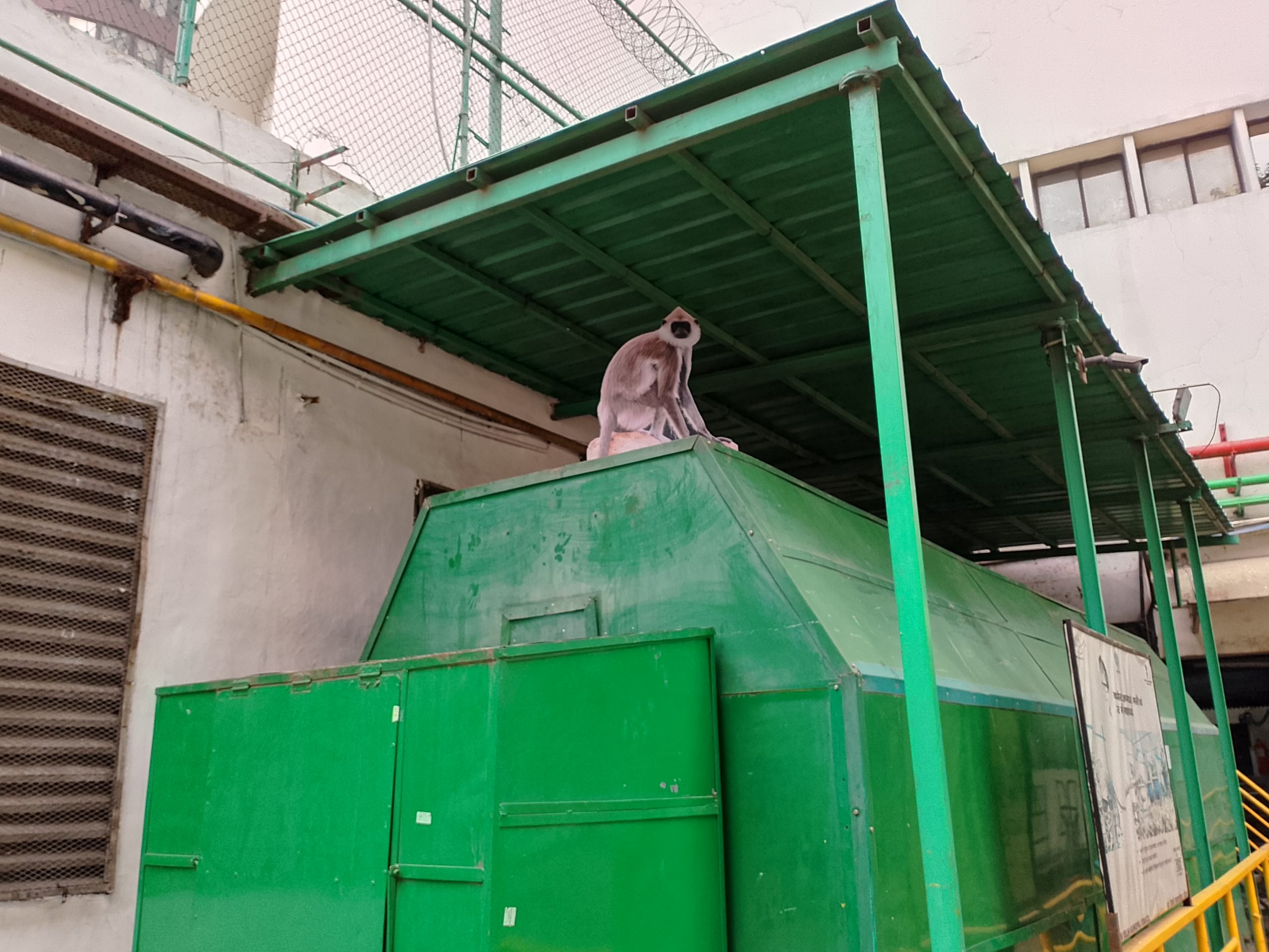 IMG_20240109_155025_904