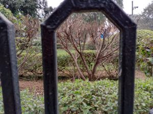 IMG_20240109_155121_225