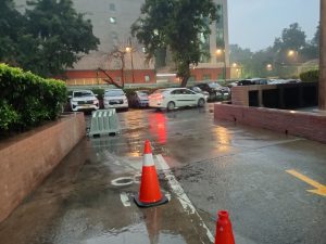 IMG_20240131_181016_359