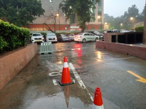 IMG_20240131_181016_999