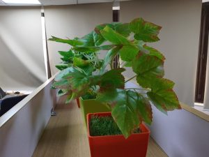 IMG_20240214_170011_HDR