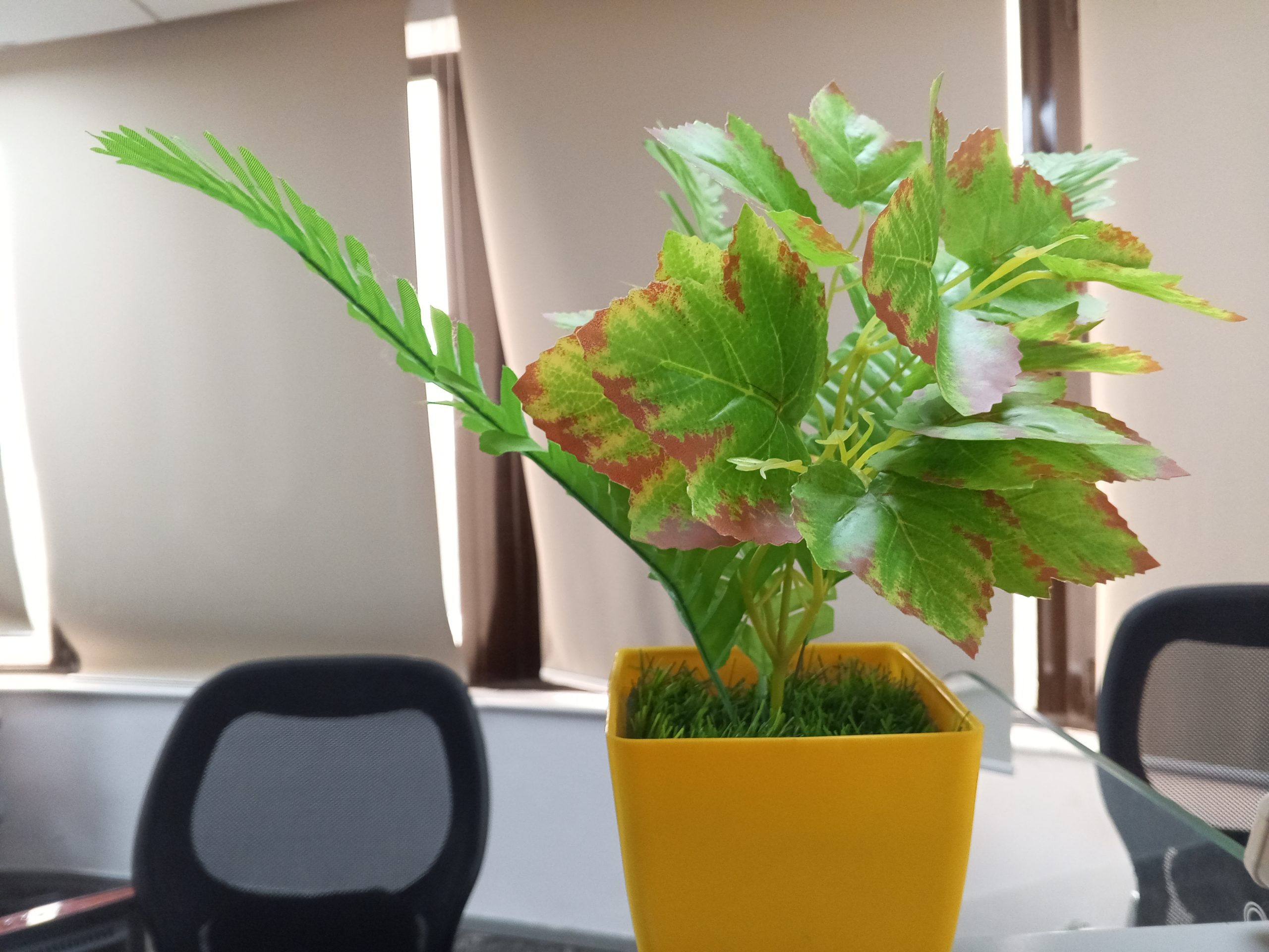 IMG_20240226_155125_728