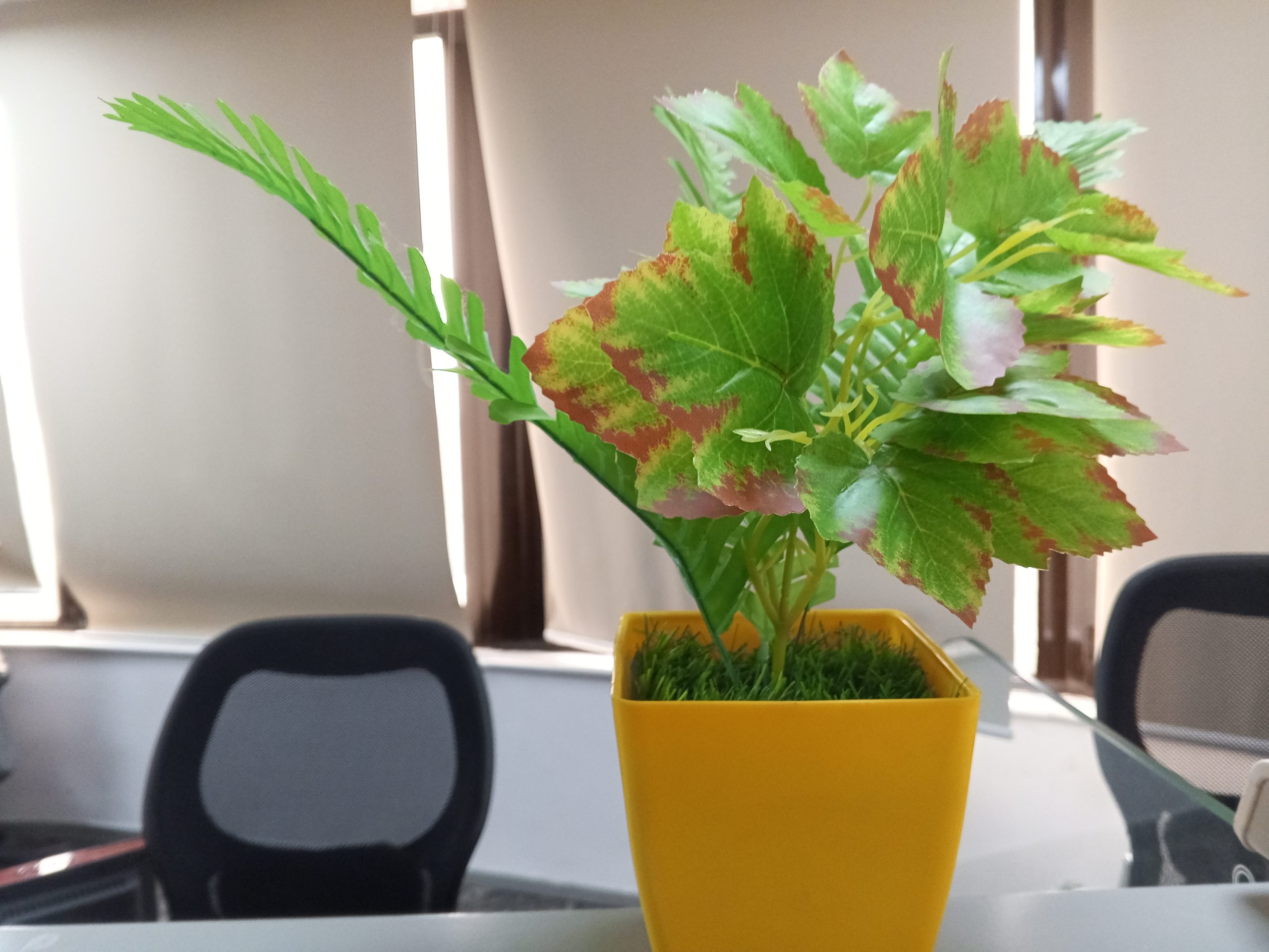 IMG_20240226_155126_098