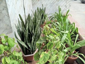 IMG_20240226_155508_750