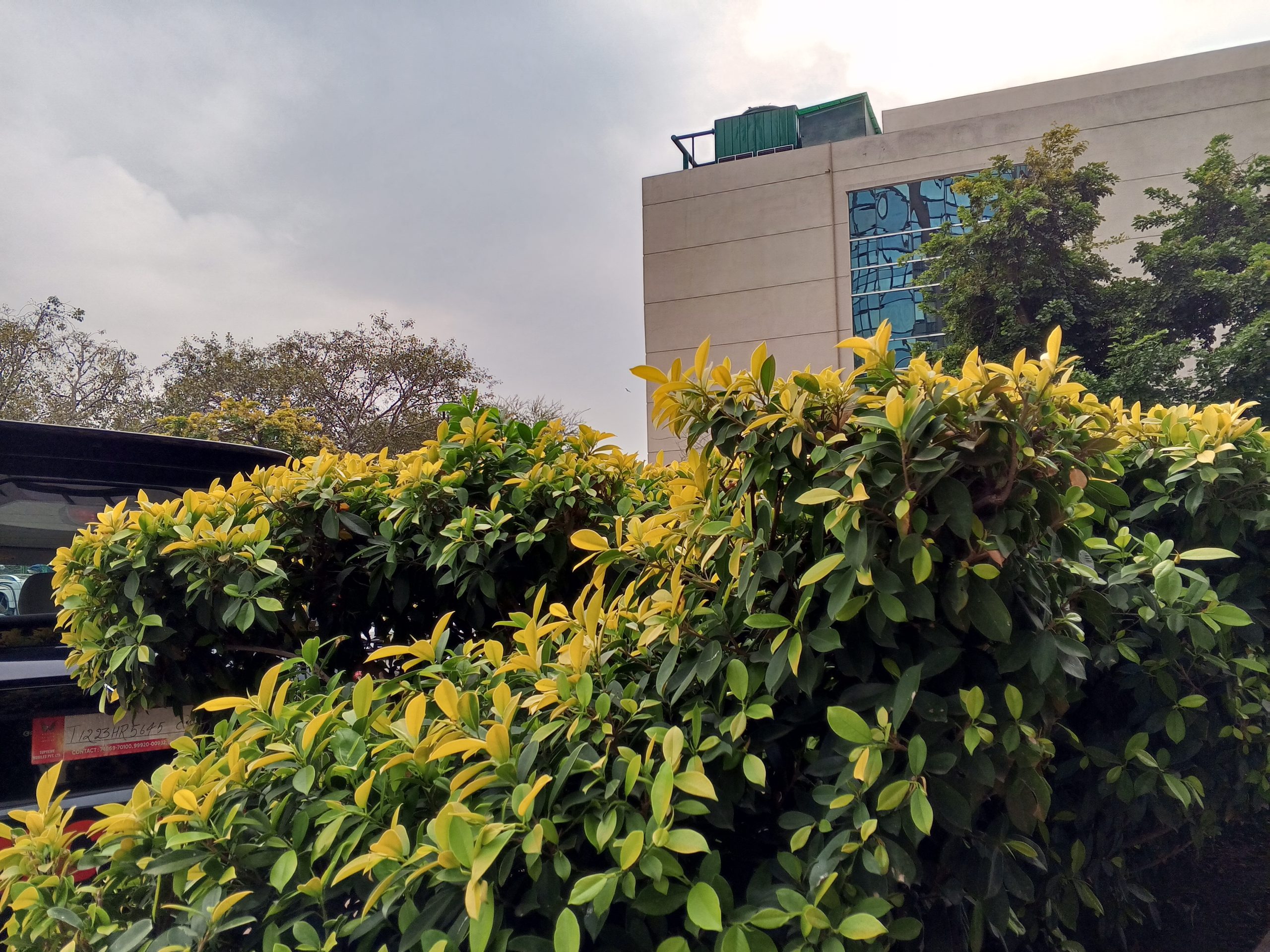 IMG_20240226_155547_185