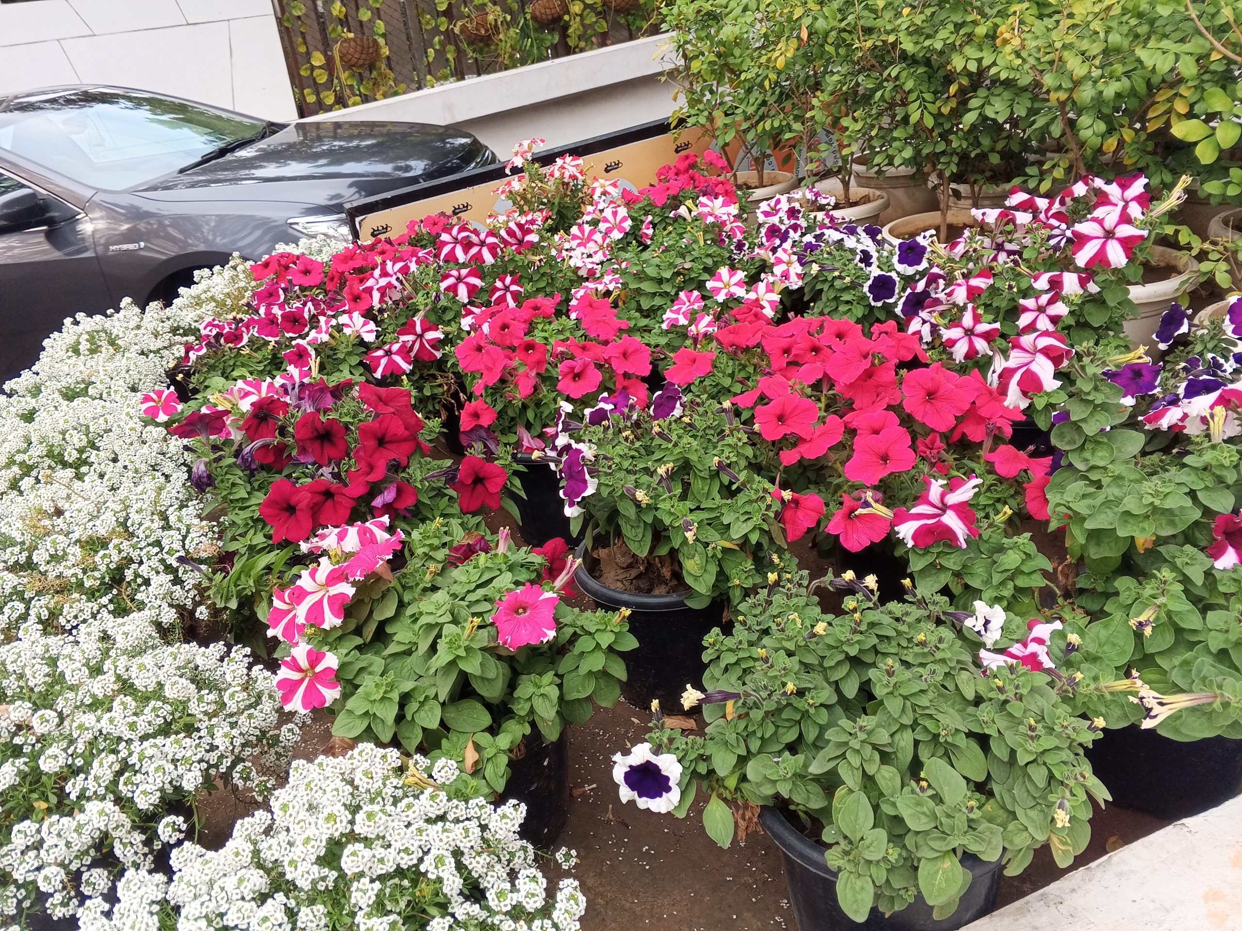 IMG_20240226_155645_499