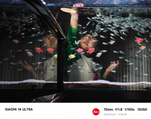 Screenshot 2024-02-21 114500