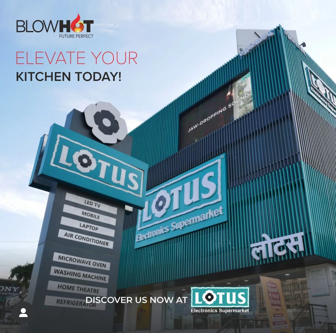 Lotus Electronics adapted its online strategy to meet consumer needs