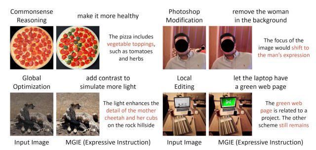 Photos of pizzas, cheetas, a computer and a person. (Apple)