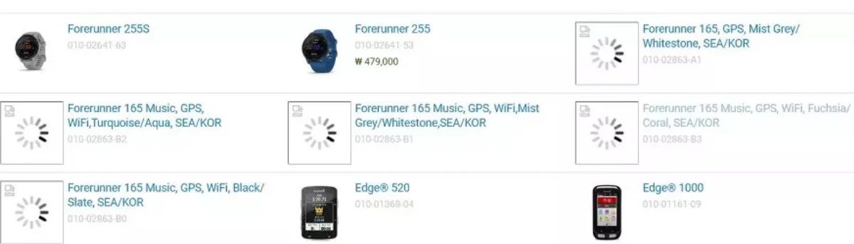 Forerunner 165: Expected Specs