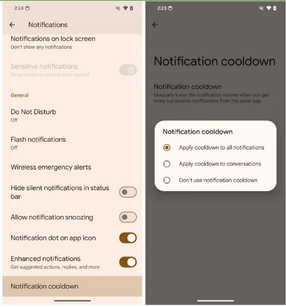 New "Notification Cooldown" feature to manage frequent alerts