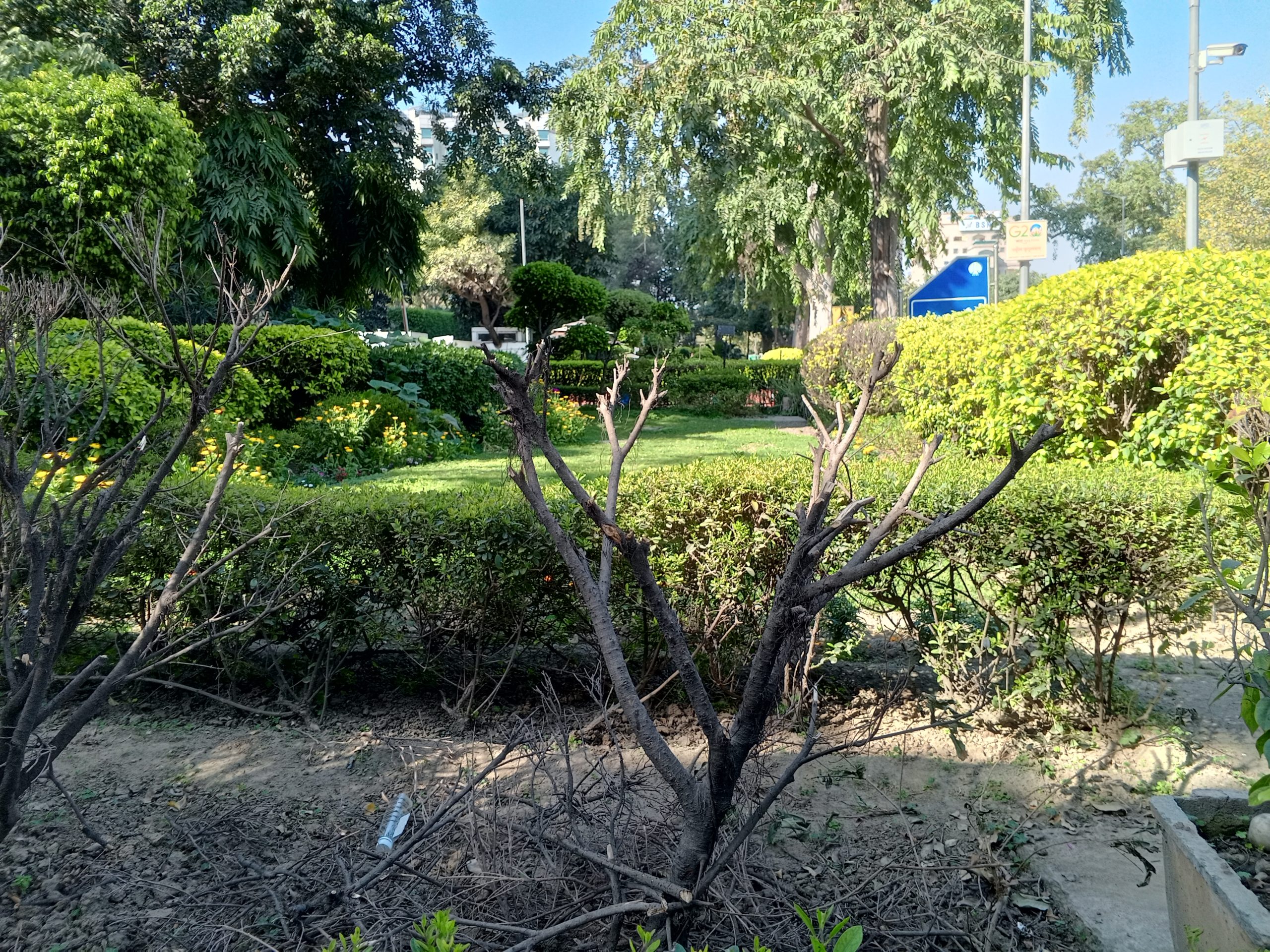 IMG_20240229_151002_812