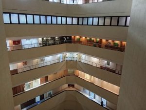 IMG_20240326_125044 (Small)