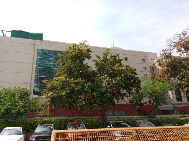 IMG_20240326_125306 (Small)