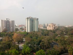 IMG_20240328_160742 (Small)