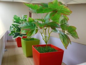 IMG_20240328_160801 (Small)