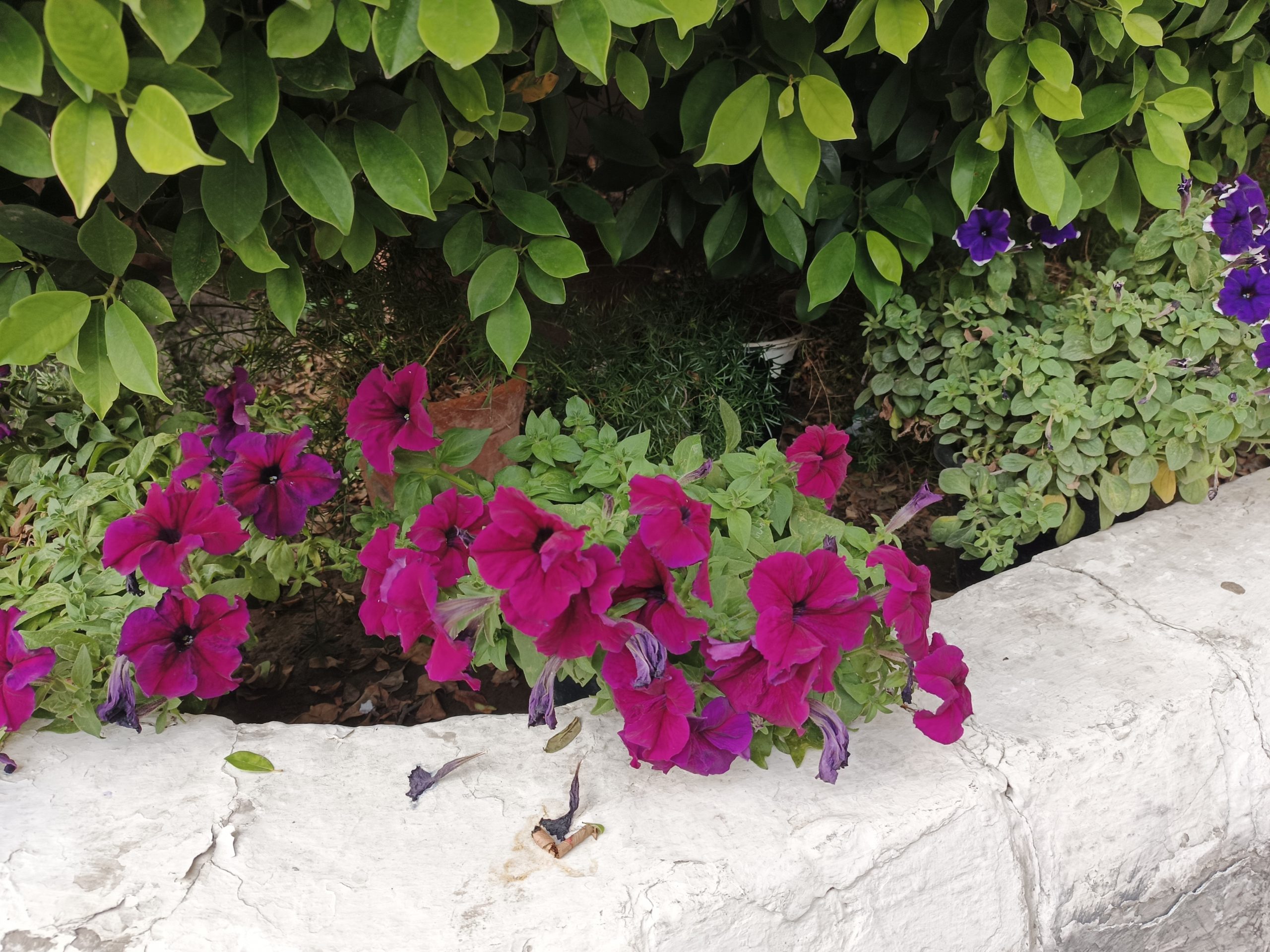 IMG_20240328_173030_377