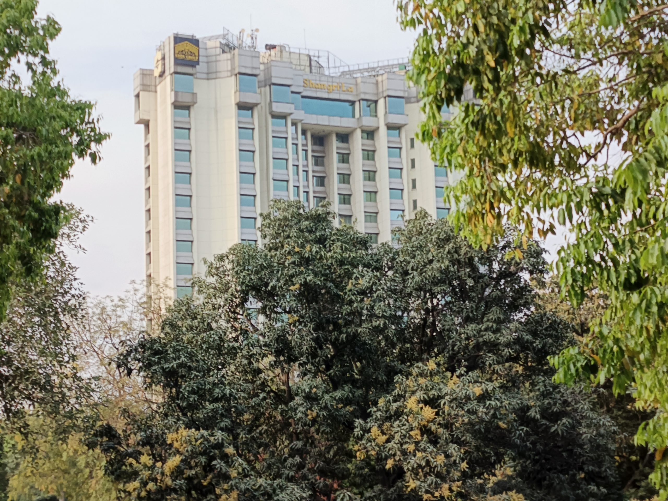 IMG_20240328_173208_235