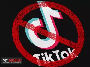 TikTok Ban Concerns Highlight Privacy and Education Debate
