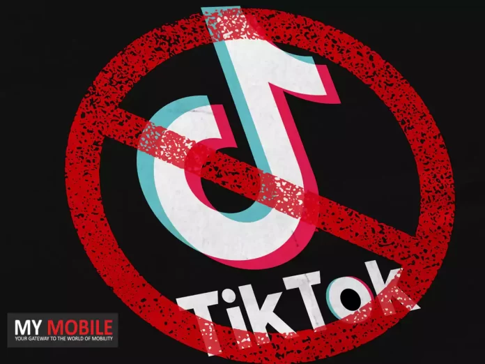 TikTok Ban Concerns Highlight Privacy and Education Debate