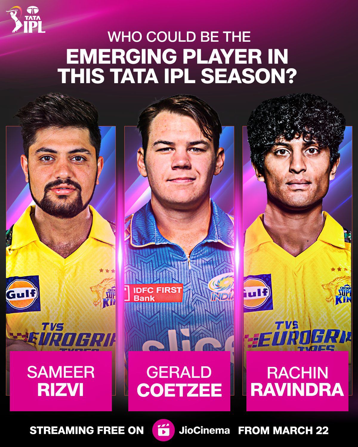 TATA IPL 2024 features 10 teams competing across India's iconic venues