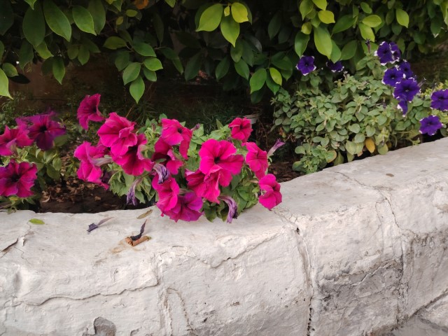 IMG_20240328_173030 (Small)