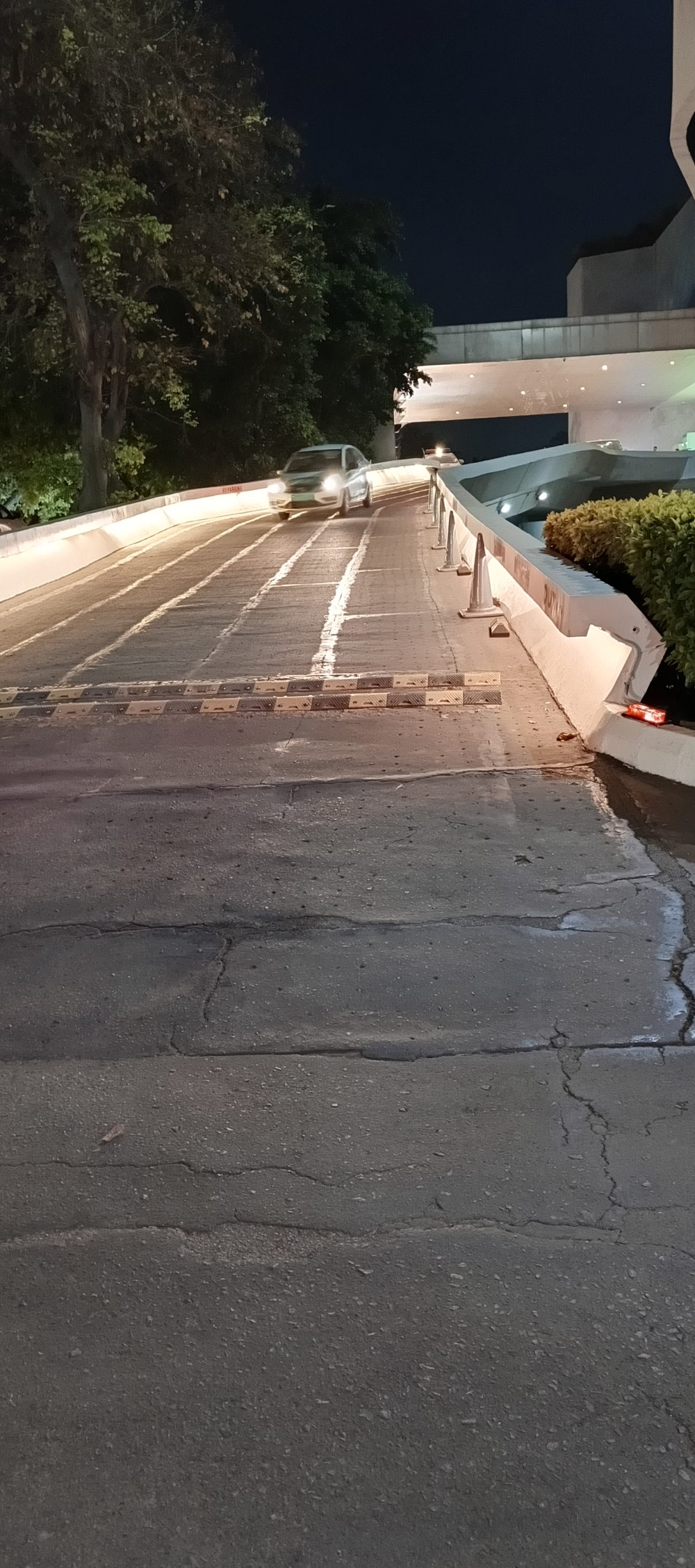 IMG_20240408_192310_444