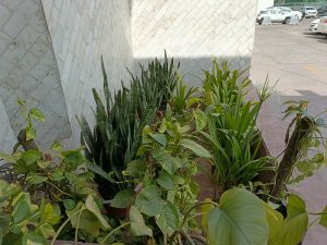 IMG_20240409_145438_547