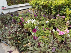 IMG_20240409_145637_343