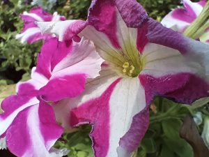 IMG_20240409_145700_868