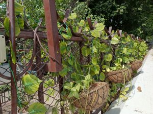 IMG_20240409_145716_849