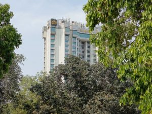 IMG_20240409_145845_521