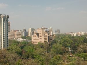 IMG_20240416_144623952