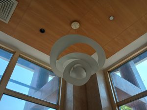 IMG_20240416_145433051_HDR