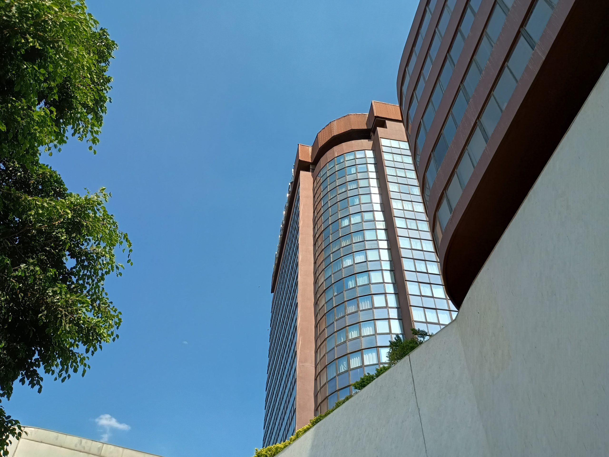 IMG_20240416_145632068_HDR